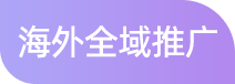 海外全域推广